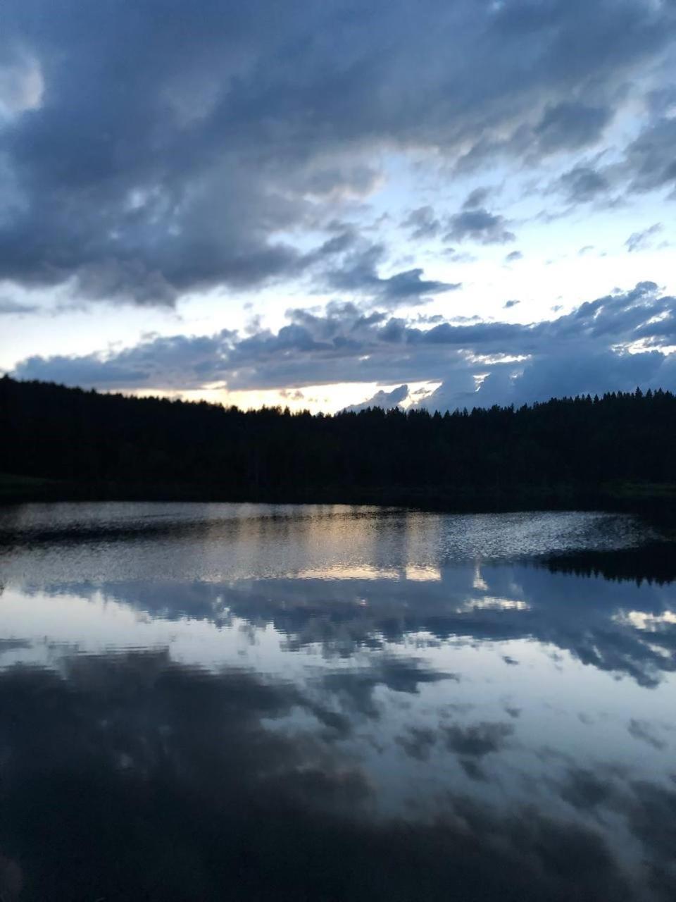 Natur- & Aktivoase Buchenberg  Exteriér fotografie