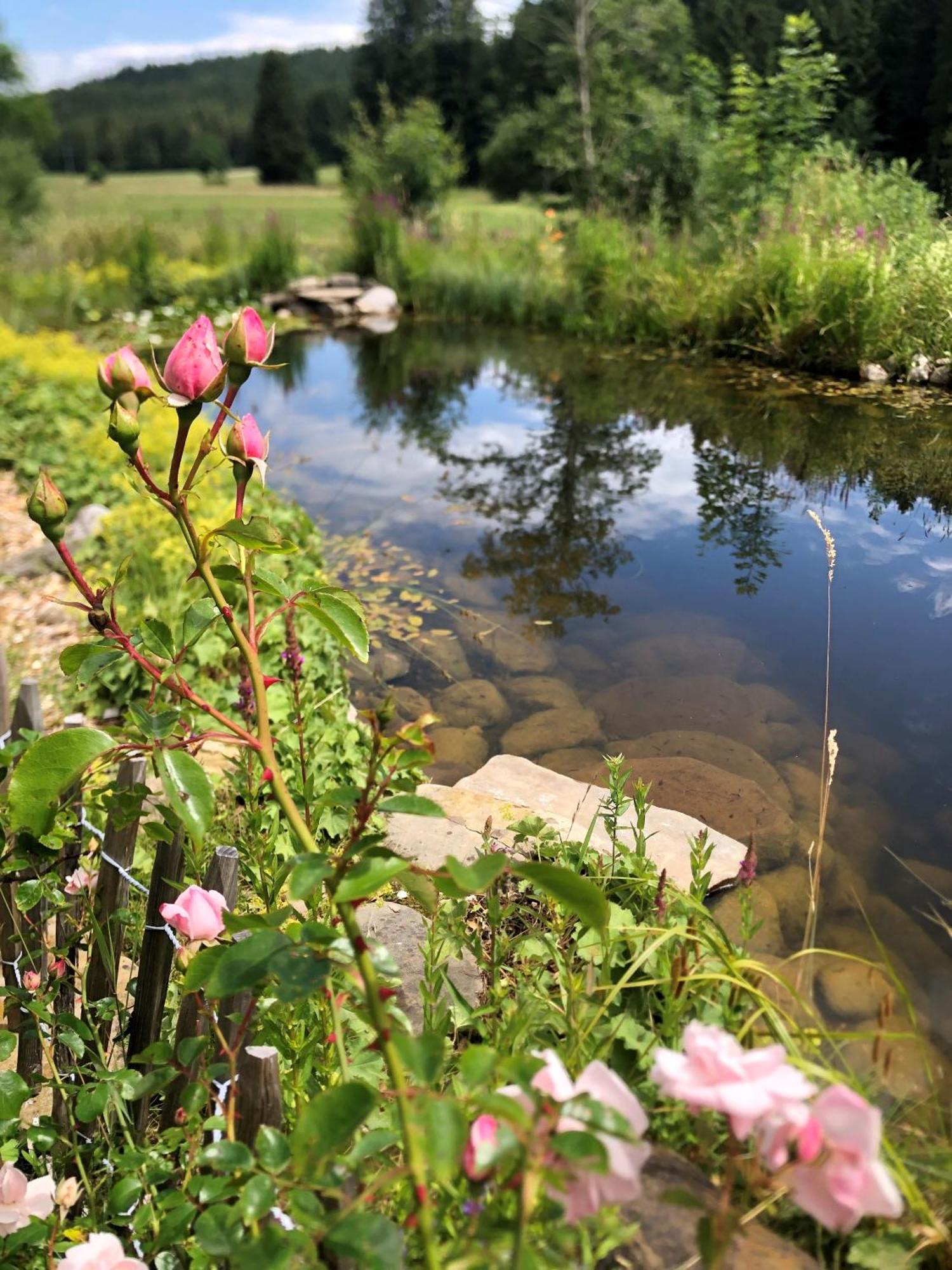 Natur- & Aktivoase Buchenberg  Exteriér fotografie