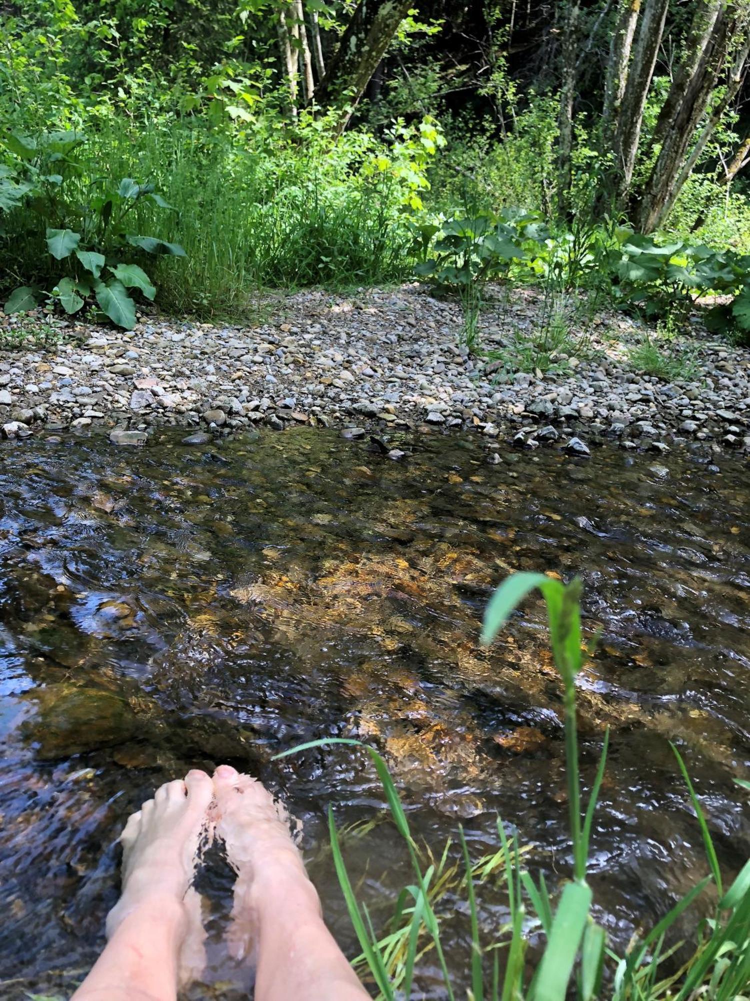Natur- & Aktivoase Buchenberg  Exteriér fotografie